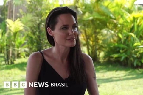 Angelina Jolie comprou selva particular maior que 84 mil campos de futebol para proteger animais